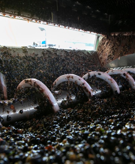 winemaking